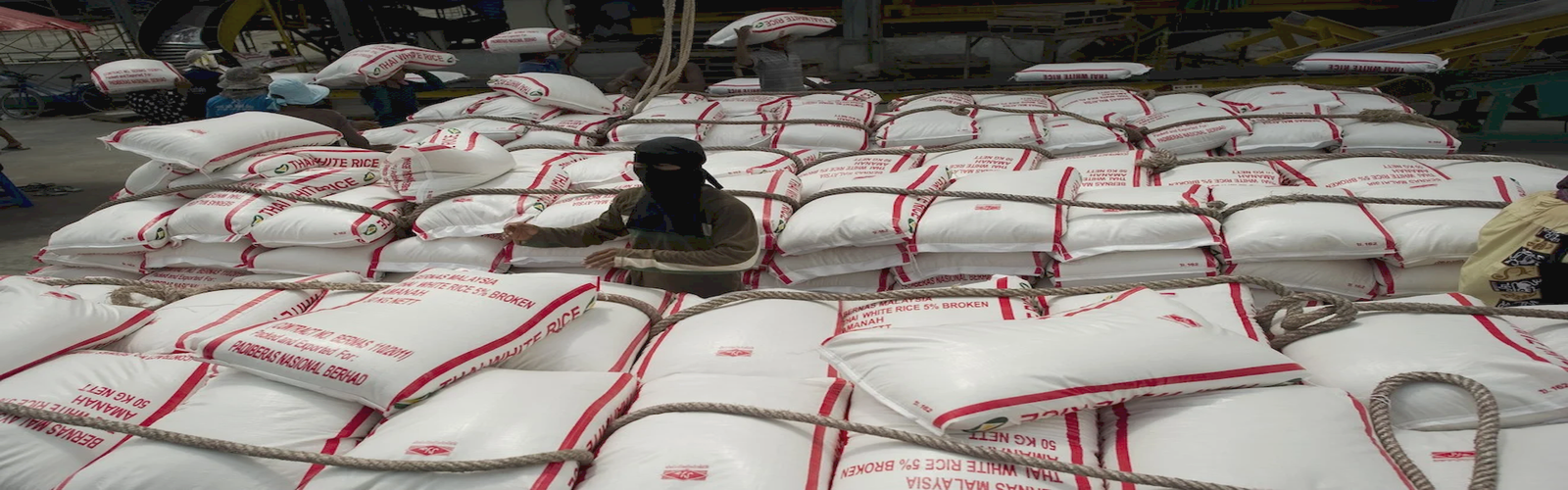 泰国大米运输图